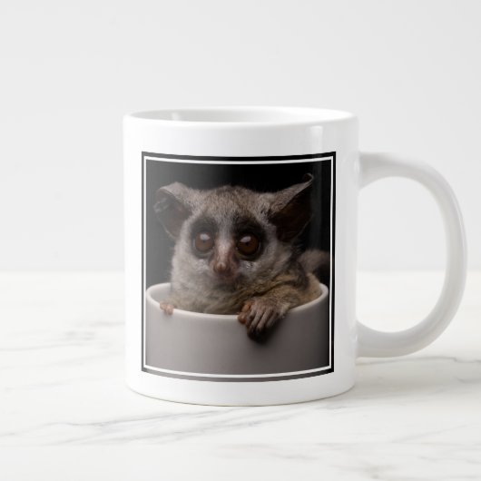 Kutest Baby Animals | Cute Bushbaby Grote Koffiekop (Rechts)