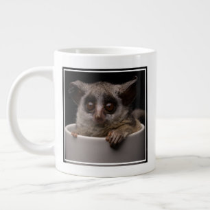 Kutest Baby Animals Cute Bushbaby Grote Koffiekop