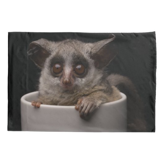 Kutest Baby Animals | Cute Bushbaby Kussensloop (Achterkant)