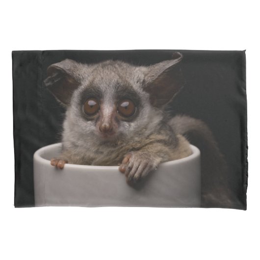Kutest Baby Animals | Cute Bushbaby Kussensloop (Voorkant)