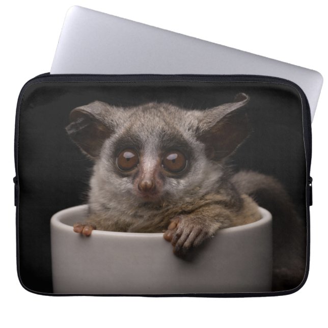 Kutest Baby Animals | Cute Bushbaby Laptop Sleeve (Voorkant)