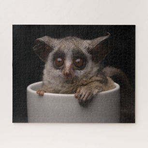 Kutest Baby Animals   Cute Bushbaby Legpuzzel