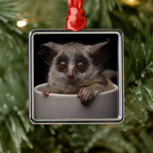 Kutest Baby Animals   Cute Bushbaby Metalen Ornament