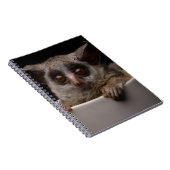 Kutest Baby Animals | Cute Bushbaby Notitieboek (Rechterzijde)