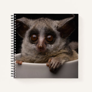 Kutest Baby Animals Cute Bushbaby Notitieboek
