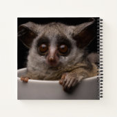 Kutest Baby Animals | Cute Bushbaby Notitieboek (Achterkant)