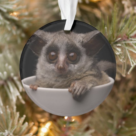 Kutest Baby Animals | Cute Bushbaby Ornament (Boom)