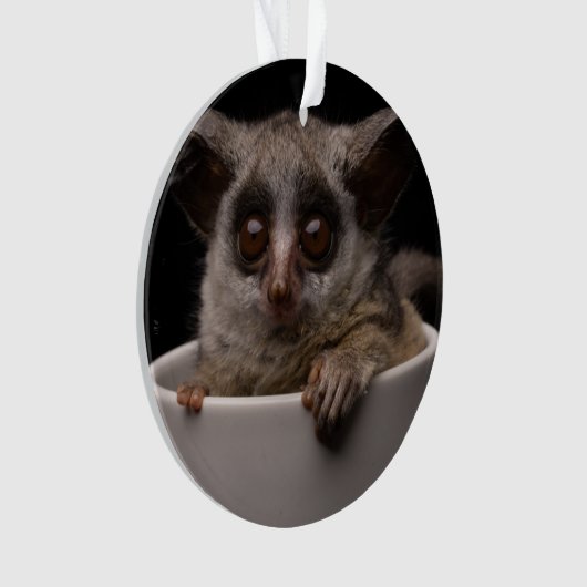 Kutest Baby Animals | Cute Bushbaby Ornament (voorkant)