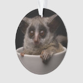 Kutest Baby Animals | Cute Bushbaby Ornament (voorkant)