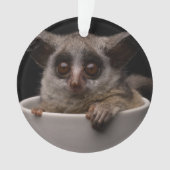 Kutest Baby Animals | Cute Bushbaby Ornament (voorkant)