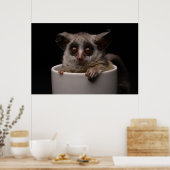 Kutest Baby Animals | Cute Bushbaby Poster (Keuken)