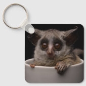 Kutest Baby Animals | Cute Bushbaby Sleutelhanger (Voorkant)