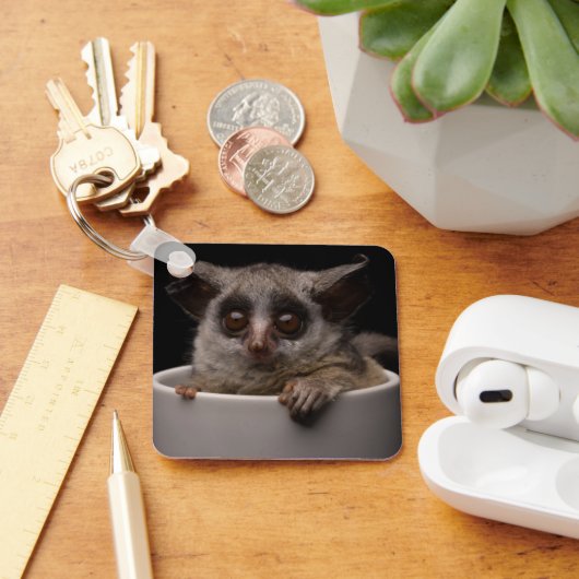 Kutest Baby Animals | Cute Bushbaby Sleutelhanger (Bureau)