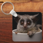 Kutest Baby Animals | Cute Bushbaby Sleutelhanger (Voorkant)
