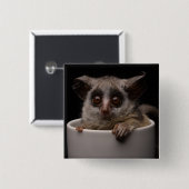 Kutest Baby Animals | Cute Bushbaby Vierkante Button 5,1 Cm (Voorkant /achterkant)