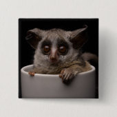 Kutest Baby Animals | Cute Bushbaby Vierkante Button 5,1 Cm (Voorkant)