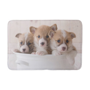 Kutest Baby Animals   Cute Corgi-Puppies in een ha Badmat