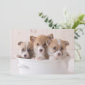 Kutest Baby Animals | Cute Corgi-Puppies in een ha Bedankkaart (Staand voorkant)