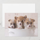 Kutest Baby Animals | Cute Corgi-Puppies in een ha Bedankkaart (Voorkant / Achterkant)
