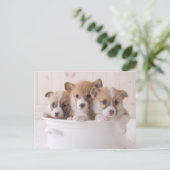Kutest Baby Animals | Cute Corgi-Puppies in een ha Briefkaart (Staand voorkant)