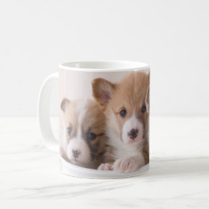 Kutest Baby Animals   Cute Corgi-Puppies in een ha Koffiemok