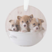 Kutest Baby Animals | Cute Corgi-Puppies in een ha Ornament (voorkant)