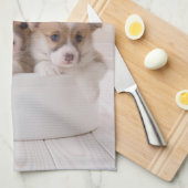 Kutest Baby Animals | Cute Corgi-Puppies in een ha Theedoek (Quarter Fold)