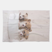 Kutest Baby Animals | Cute Corgi-Puppies in een ha Theedoek (Horizontaal)