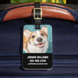 Kutest Baby Animals   Cute Corgi Puppy Smile Bagagelabel