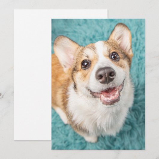 Kutest Baby Animals | Cute Corgi Puppy Smile Bedankkaart (Voorkant / Achterkant)