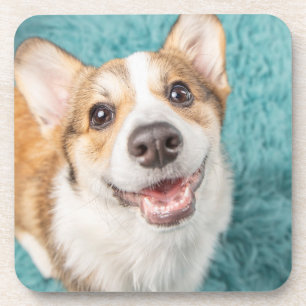 Kutest Baby Animals Cute Corgi Puppy Smile Bier Onderzetter
