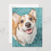 Kutest Baby Animals | Cute Corgi Puppy Smile Briefkaart (Voorkant / Achterkant)