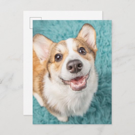 Kutest Baby Animals | Cute Corgi Puppy Smile Briefkaart (Voorkant / Achterkant)