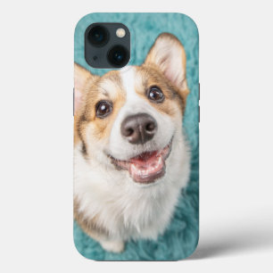 Kutest Baby Animals Cute Corgi Puppy Smile Case-Mate iPhone Case