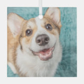 Kutest Baby Animals | Cute Corgi Puppy Smile Glas Ornament (Voorkant)