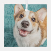 Kutest Baby Animals | Cute Corgi Puppy Smile Glas Ornament (Achterkant)