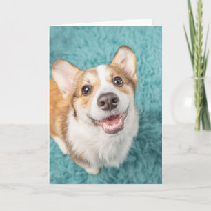 Kutest Baby Animals Cute Corgi Puppy Smile Kaart
