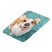 Kutest Baby Animals | Cute Corgi Puppy Smile Magneet (Linkerzijde)