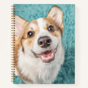 Kutest Baby Animals   Cute Corgi Puppy Smile Notitieboek
