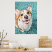 Kutest Baby Animals | Cute Corgi Puppy Smile Poster (Keuken)