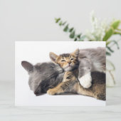 Kutest Baby Animals | Cute Kitten Hug Bedankkaart (Staand voorkant)