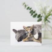 Kutest Baby Animals | Cute Kitten Hug Briefkaart (Staand voorkant)