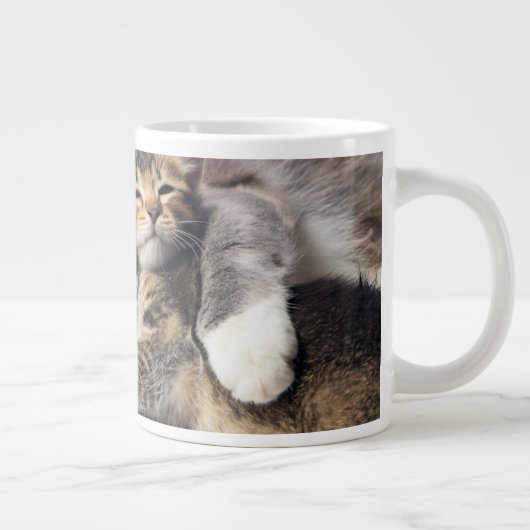 Kutest Baby Animals | Cute Kitten Hug Grote Koffiekop (Rechts)