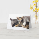 Kutest Baby Animals | Cute Kitten Hug Kaart (Gele Bloem)