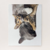 Kutest Baby Animals | Cute Kitten Hug Legpuzzel (Verticaal)