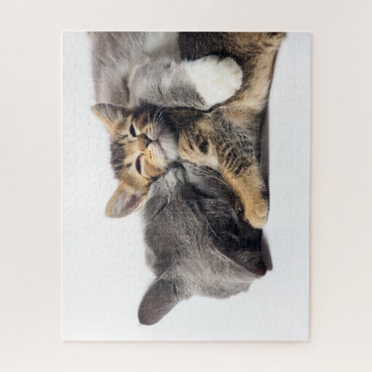 Kutest Baby Animals | Cute Kitten Hug Legpuzzel (Verticaal)