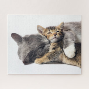 Kutest Baby Animals   Cute Kitten Hug Legpuzzel