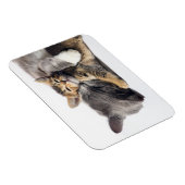 Kutest Baby Animals | Cute Kitten Hug Magneet (Rechterzijde)