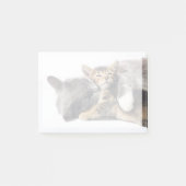 Kutest Baby Animals | Cute Kitten Hug Post-it® Notes (Voorkant)