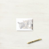 Kutest Baby Animals | Cute Kitten Hug Post-it® Notes (Op bureau)